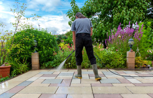 Best Fence Cleaning  in Mcallen, TX